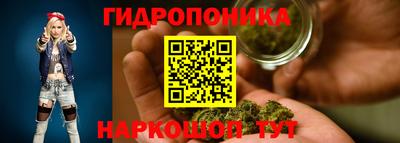тгк Гусь-Хрустальный