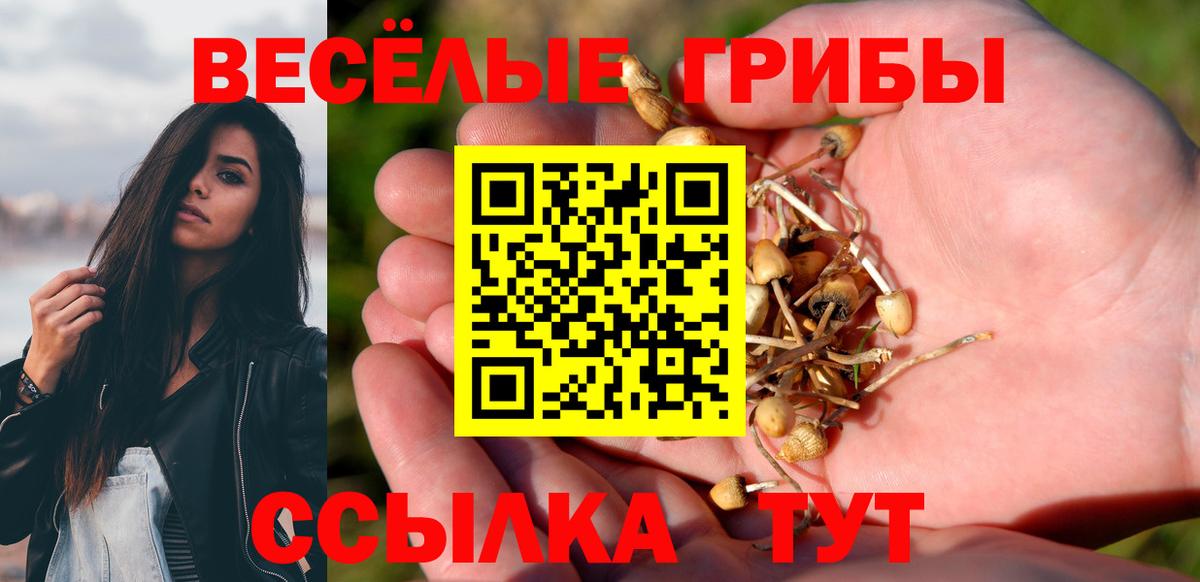 Псилоцибиновые грибы Psilocybine cubensis  Псилоцибиновые грибы мицелий  Вход с VPN  Нефтекамск 