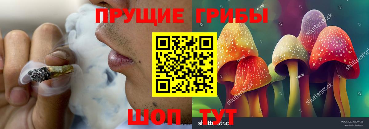 Галлюциногенные грибы Psilocybine cubensis Нефтекамск